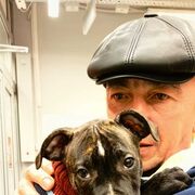 ���������� ������ ��������, ���� ������� �����, 54 ����, ������������ ��� ������, ����� � ���������, c�������� ���������, ���������