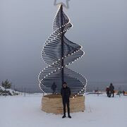 ���������� ������, ���� ������� ����������, 43 ����, ������������ ��� ������, ����� � ���������