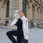 ���������� ��������, ����������