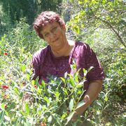 ���������� ���������, ���� ������� �������, 54 ����, ������������ ��� ������, ����� � ���������