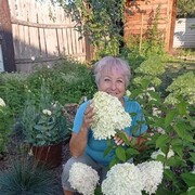  ,   , 58 ,   ,   