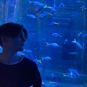 ���������� �����-���������, ���� ����� ����, 23 ����, ������������ ��� ������, ����� � ���������, ���������