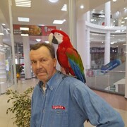  ,   , 56 ,   ,   