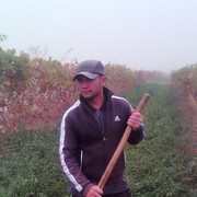  ,   , 33 ,   ,   , c 