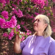  ,   , 54 ,   c 