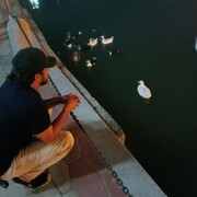 ���������� �������, ���� ������� �������, 42 ����, ������������ ��� ������, ����� � ���������