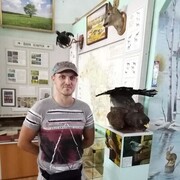   ,   , 33 ,   c 