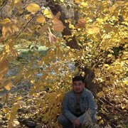  ,   , 43 ,   