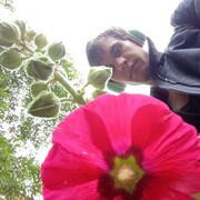 ���������� ������, ���� ������� Ilya, 27 ���, ������������ ��� ������, ����� � ���������, c�������� ���������