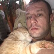 ���������� ������, ���� ������� �����, 41 ���, ������������ ��� ������, ����� � ���������