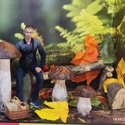   ,  Maksimys, 45
