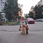 ���������� �����, ���� ������� ������, 41 ���, ������������ ��� c�������� ���������