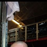 ���������� ������-��-����, ���� ������� ������, 41 ���, ������������ ��� ������, ����� � ���������, c�������� ���������