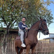 ���������� ������, ���� ������� ���������, 33 ����, ������������ ��� ������, ����� � ���������