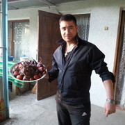 ���������� �������, ���� ������� ������, 38 ���, ������������ ��� ������