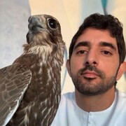  ,   Fazza, 42 ,   ,   