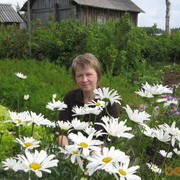 ���������� ������������, ���� ������� �����, 54 ����, ������������ 