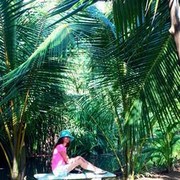  ,   Yulia, 38 ,     , c 