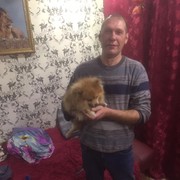 ���������� ������������, ���� ������� ����, 50 ���, ������������ ��� ������