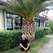 ���������� ������ ���, ���� ������� �������, 55 ���, ������������ ��� ����� � ���������, c�������� ���������