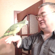 ���������� ������, ���� ������� �����, 67 ���, ������������ ��� ������, ����� � ���������, c�������� ���������