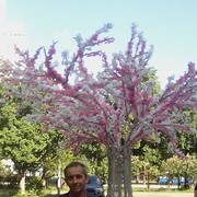  ,   , 64 ,   ,   , c 