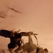  ,   , 59 ,   ,   