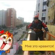 ���������� ����������, ���� ������� ���������, 36 ���, ������������ ��� ������, ���������