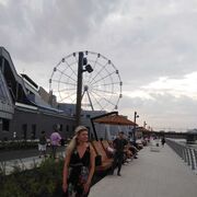  ,   , 54 ,   c 
