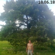  ,   , 46 ,     , c 