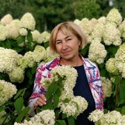 ���������� ������, ���� ������� ��������, 62 ����, ������������ ��� ������, ����� � ���������, c�������� ���������, ���������