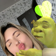 ���������� ���������� �����, ���� ������� ����, 31 ���, ������������ ��� ������, ���������