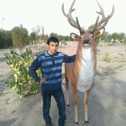 ���������� ������, ���� ������� Tahir, 37 ���, ������������ ��� ����� � ���������, c�������� ���������