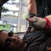 ���������� �������, ���� ������� ����, 55 ���, ������������ ��� ������, ���������