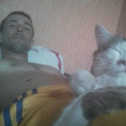  ,   , 38 ,     , c 