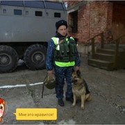 ���������� �������, ������� dima, 44