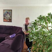 ,   , 63 ,   ,   