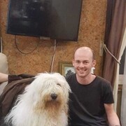  ,   , 29 ,   c 