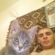  ,   , 38 ,   