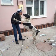 ,   , 55 ,   ,   , c 