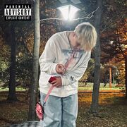 ���������� �����������, ���� ����� ������, 20 ���, ������������ ��� ������, ����� � ���������