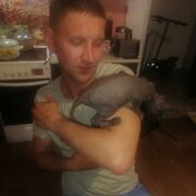 ���������� ���������, ���� ������� ����, 35 ���, ������������ ��� c�������� ���������