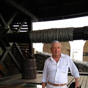  ,   , 77 ,  