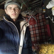 ���������� ������, ���� ������� ����, 33 ����, ������������ ��� ������, ����� � ���������, ���������