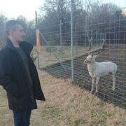 ���������� ���������, ���� ������� �����, 39 ���, ������������ ��� ����� � ���������, c�������� ���������