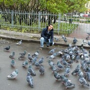  ,   Huseyn, 43 ,   ,   