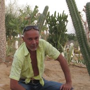  ,   , 51 ,   