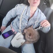  -,   , 27 ,   ,   