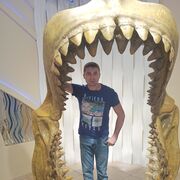  ,   , 36 ,   