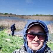 ���������� ������, ���� ������� �������, 38 ���, ������������ ��� ������, ����� � ���������